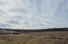 Vila noua de vanzare la intrare in Corunca