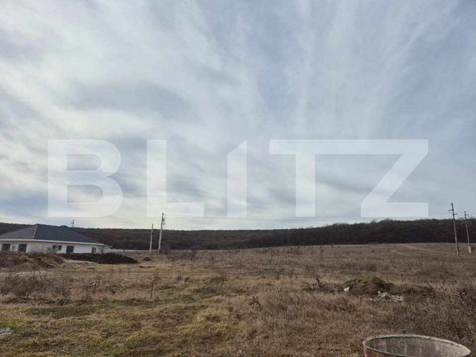 Casa de vânzare 4 camere Corunca - 167408CV | BLITZ Târgu Mureș | Poza2