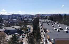 Apartament cu doua camere, 50 mp, zona Aleea Carpati