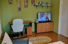 Apartament cu doua camere, 50 mp, zona Aleea Carpati