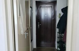 Apartament cu doua camere, 50 mp, zona Aleea Carpati