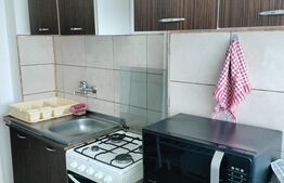 Apartament cu doua camere, 50 mp, zona Aleea Carpati