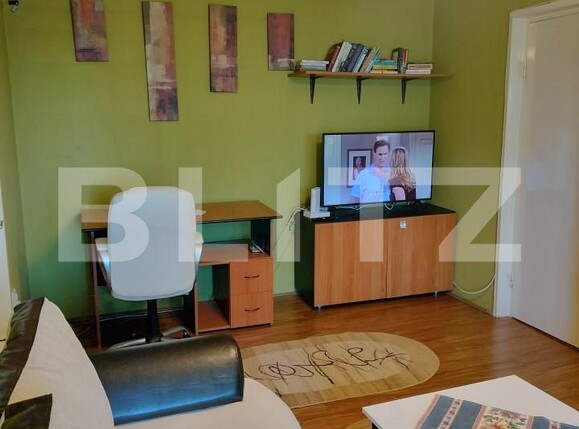 Apartament de închiriat 2 camere Aleea Carpati - 167528AI | BLITZ Târgu Mureș | Poza12