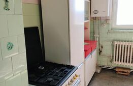 Apartament cu 2 camere, 50 mp,  zona Bălcescu 
