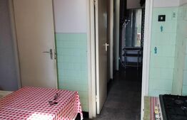 Apartament cu 2 camere, 50 mp,  zona Bălcescu 