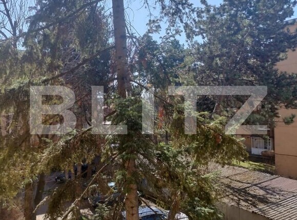 Apartament de vânzare 3 camere Libertatii - 167821AV | BLITZ Târgu Mureș | Poza13