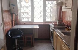 Apartament cu 2 camere, zona Tudor