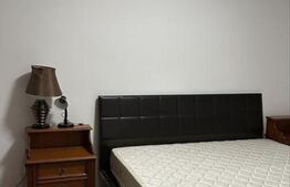 Apartament cu 2 camere, zona Tudor