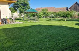 Proprietate cu 2 case in centrul localitatii Ogra