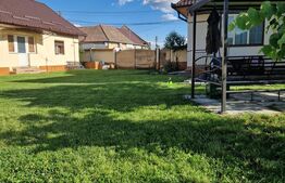 Proprietate cu 2 case in centrul localitatii Ogra