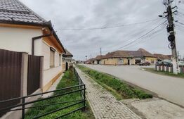 Proprietate cu 2 case in centrul localitatii Ogra