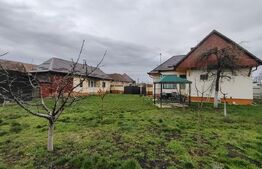 Proprietate cu 2 case in centrul localitatii Ogra