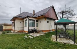Proprietate cu 2 case in centrul localitatii Ogra
