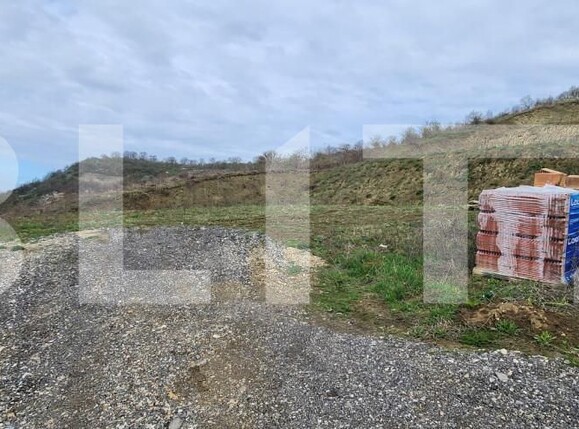 Teren de vânzare Livezeni - 168412TV | BLITZ Târgu Mureș | Poza2