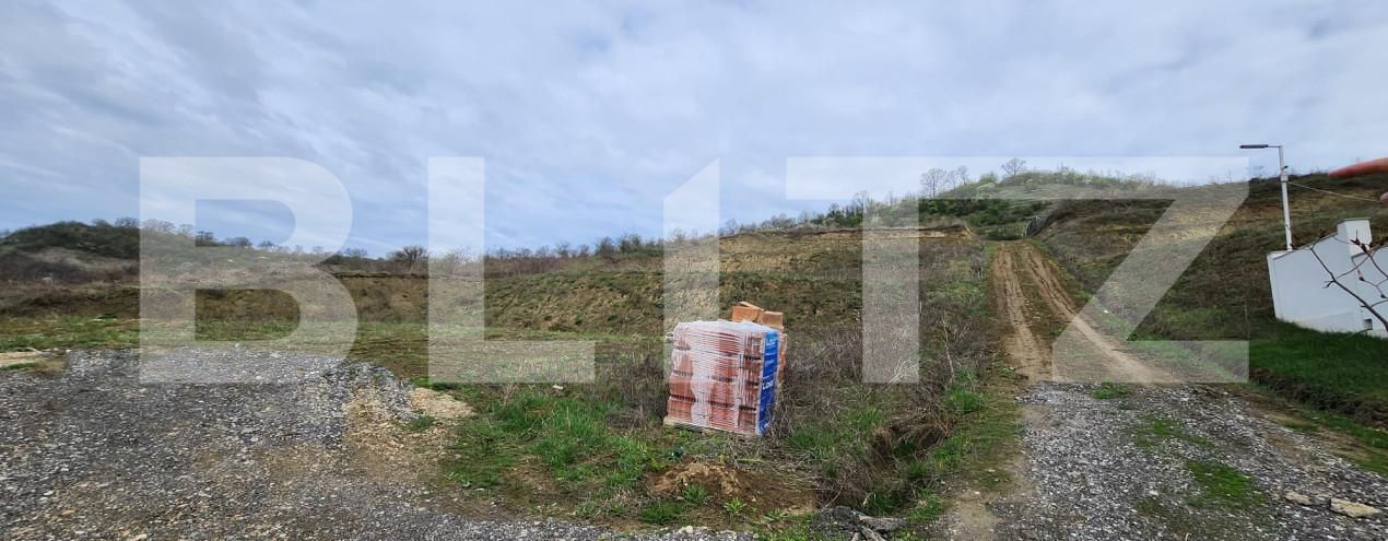 Teren de vânzare Livezeni - 168412TV | BLITZ Târgu Mureș | Poza3