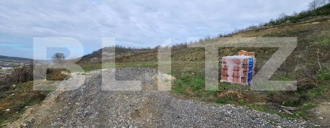 Teren de vânzare Livezeni - 168412TV | BLITZ Târgu Mureș | Poza2