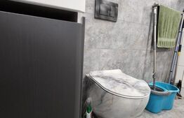 Casa cu 3 camere, 2 bucatarii, Teren de 1000 mp, zona Unirii