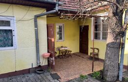 Casă tradițională de vanzare, 3 camere, 77 mp, cu teren de 852 m², zona Unirii