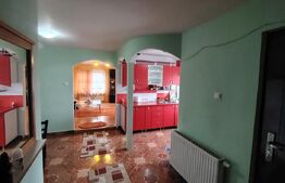 Casa cu 2 apartamente in Livezeni
