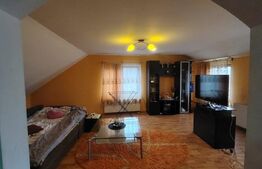 Casa cu 2 apartamente in Livezeni