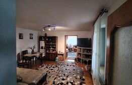 Casa cu 2 apartamente in Livezeni