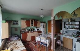 Casa cu 2 apartamente in Livezeni