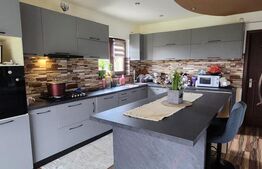 Vila exclusivistă in Livezeni la doar 1 minut de Târgu Mureș