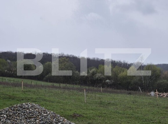 Casa de vânzare 3 camere Livezeni - 168859CV | BLITZ Târgu Mureș | Poza3