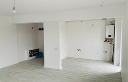 Apartament cu 2 camere, 55 mp, zona Unirii