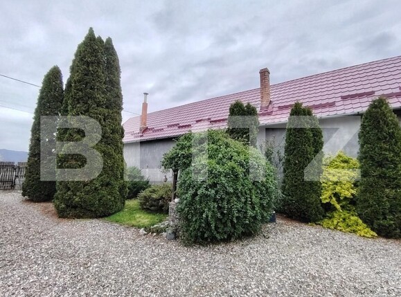 Casa de vânzare 3 camere Ogra - 169053CV | BLITZ Târgu Mureș | Poza5