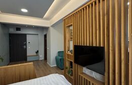 Apartament cu 1 camera tip studio , 40mp, zona centrala