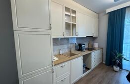 Apartament cu 1 camera tip studio , 40mp, zona centrala