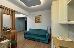 Apartament cu 1 camera tip studio , 40mp, zona centrala