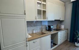 Apartament cu 1 camera tip studio , 40mp, zona centrala