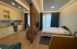 Apartament cu 1 camera tip studio , 40mp, zona centrala