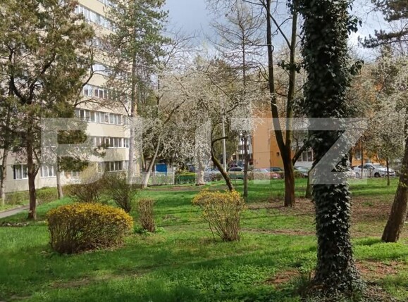 Apartament de vânzare 3 camere Aleea Carpati - 169143AV | BLITZ Târgu Mureș | Poza12