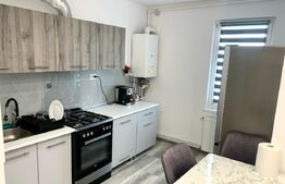 Apartament de vanzare cu 2 camere, 53 mp, zona Unirii