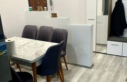 Apartament de vanzare cu 2 camere, 53 mp, zona Unirii