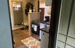 Apartament de vanzare cu 2 camere, 30 mp, zona Tudor