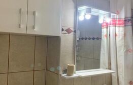 Apartament  cu o camera, 32 mp, zona Aleea Carpati 