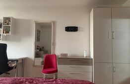 Apartament  cu o camera, 32 mp, zona Aleea Carpati 