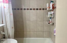 Apartament  cu o camera, 32 mp, zona Aleea Carpati 