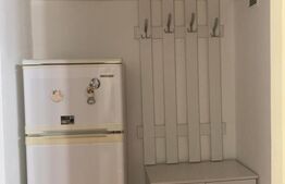 Apartament  cu o camera, 32 mp, zona Aleea Carpati 