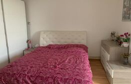 Apartament  cu o camera, 32 mp, zona Aleea Carpati 