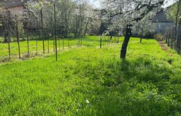 Casă tradițională de vanzare cu 3 camere, 877 mp, zona semicentrala