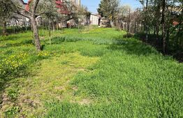 Casă vanzare cu 3 camere in zona Dambu, 877 mp, zona semicentrala