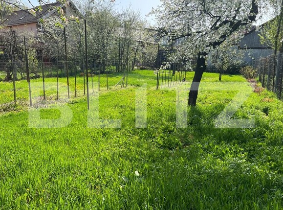 Casa de vânzare 3 camere Garii - 169289CV | BLITZ Târgu Mureș | Poza3