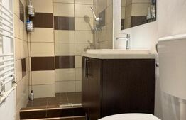 Apartament de vanzare cu 1 camera, 34 mp, zona Tudor