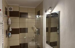 Apartament de vanzare cu 1 camera, 34 mp, zona Tudor