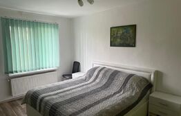 Apartament de vanzare cu 1 camera, 34 mp, zona Tudor